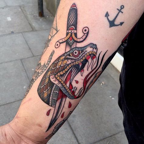 Arm Stabbed Snake New School Tattoo Dagger And Snake Tattoo, Snake And Dagger Tattoo, Snake Tattoo Meaning, Small Wave Tattoo, Tattoo Old School, Head Tattoo, Snake Head, Dagger Tattoo, Human Canvas