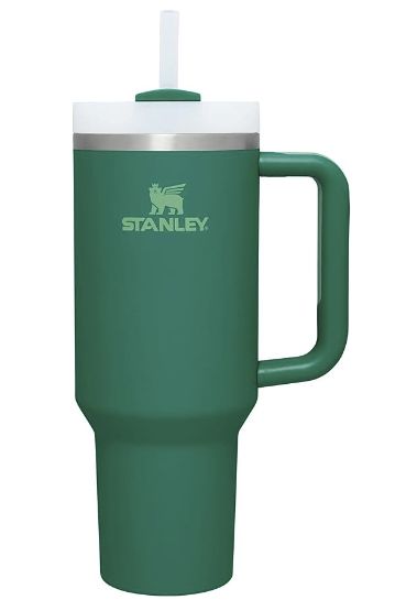 Green Stanley, Stanley Water Bottle, Trendy Water Bottles, Coffee Smoothie, Cousin Gifts, Stanley Tumbler, Stanley Quencher, Princess House, Fun Cup