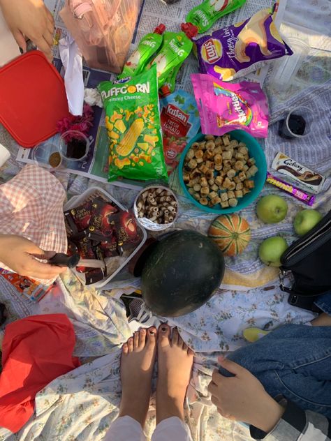 Family Picnic Aesthetic, Indian Picnic, Desi Birthday, Picnic Shoot, Study Snaps, Study Snaps Ideas, Picnic Pictures, Sweet Sixteen Birthday Party Ideas, Indian Family