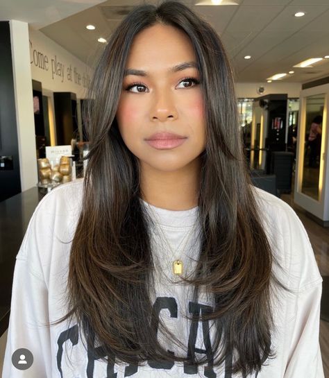 Layered Haircuts Straight Hair, Face Framing Hair, Brown Hair Looks, Brown Hair Inspo, Hair Inspiration Long, Framing Layers, Layered Haircuts For Medium Hair, Hairstyles For Layered Hair, Face Framing Layers