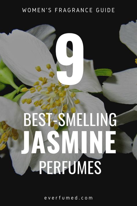 Perfume With Jasmine, Jasmine Essential Oil Blends Perfume, Best Jasmine Perfume, Jasmine Perfume For Women, How To Smell Like Jasmine, Jasmin Perfume, Jasmine Essential Oil Blends, Nest Perfume, Jasmine Body Wash