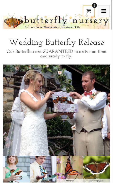 http://www.swallowtailfarms.com/pages/butterflyreleases_bb.html Butterfly Forest Wedding, Release Butterflies At Wedding, Butterfly Release At Wedding, Butterfly Garden Wedding Theme, Butterfly Release, Wedding Butterfly, Butterfly Release Wedding, Butterfly Wedding Dress, Lake House Wedding