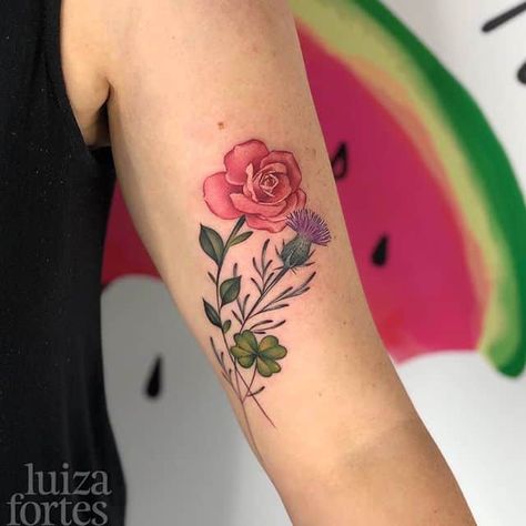 Oct 09, 2019 @ 11:02 ⋆ Watermelon🍉Tattoo Rose Thistle Shamrock Tattoo, Shamrock And Rose Tattoo, Rose And Thistle Tattoo, Irish Rose Tattoo, Thistle Rose Tattoo, Ancestry Tattoo, Watermelon Tattoo, Shamrock Tattoo, Thistle Tattoo