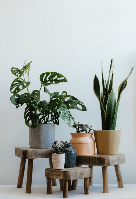 Wooden Plant Pots, Plant Pot Stand, Rustic Stools, Support Pour Plante, Pot Stand, Plant Stand Indoor, Inspire Me Home Decor, Plant Aesthetic, House Plants Decor