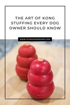 Kong Stuffing Recipes, Kong Treats, Kong Stuffing, Frozen Dog Treats, Dog Biscuit Recipes, Easy Dog Treats, Healthy Dog Treats Homemade, Cairn Terriers, Dog Treats Homemade Recipes