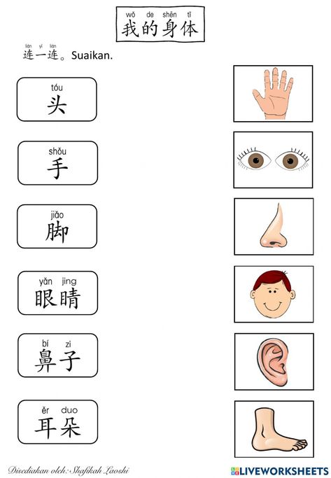 All About Me Maths, Chinese Language Writing, Body Parts Preschool Activities, Language Activities Preschool, Chinese Flashcards, Bahasa China, Mandarin Lessons, Chinese Language Words, Chinese Phrases