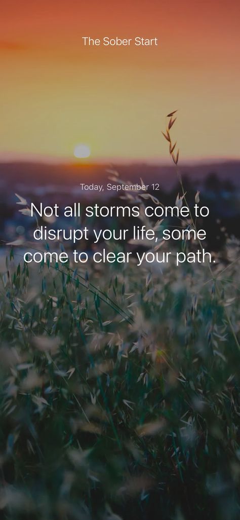 Not all storms come to disrupt your life, some come to clear your path. #iamsober Ghandi Quotes, Voltaire Quotes, Its Done, Calming The Storm, Feel Like Giving Up, Albert Einstein Quotes, Text Jokes, Say That Again, Nelson Mandela