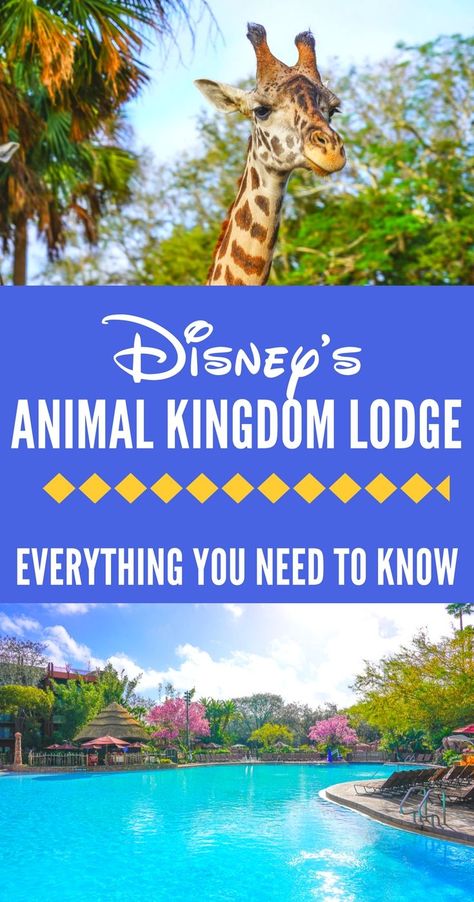 The ultimate guide to Disney's Animal Kingdom Lodge and Theme Park: the best rooms, rides, restaurants, and VIP experiences. Learn the best tips to get on the new Pandora rides and which Disney dining reservations to book. Animal Kingdom Snacks, Animal Kingdom Restaurants, Best Disney World Resorts, Animal Kingdom Rides, Animal Kingdom Safari, Disney Dining Reservations, Best Rooms, Disney Animal Kingdom Lodge, Disney Animal Kingdom