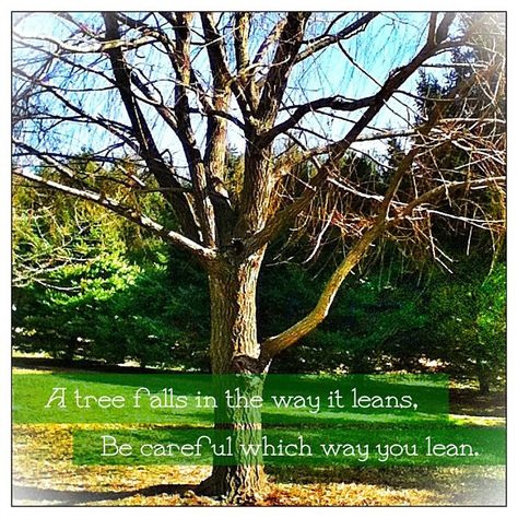 A tree falls in the way it leans, be careful which way you lean ~The Lorax Dr Seuss Quotes, Seuss Quotes, The Lorax, True Life, Be Careful, Autumn Trees, Beautiful Quotes, Great Quotes, A Tree