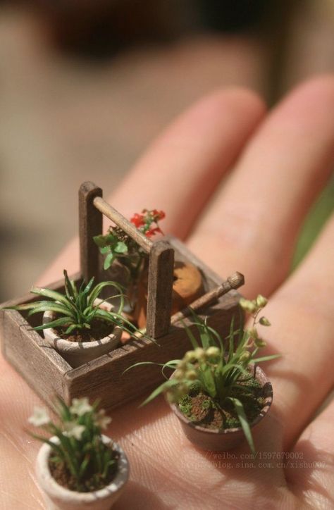 Miniature Garden Plants, Doll Garden, Dollhouse Garden, Diy Doll Miniatures, Mini Doll House, Dollhouse Miniatures Diy, Tiny Plants, Miniature Plants, Miniature Rooms