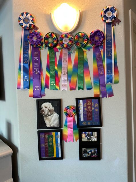 Dog Show Ribbons, Show Ribbon Display, Glitz Pageant, Ribbon Display, Grooming Business, Award Display, Dog Grooming Business, Dog Gear, Sporting Dogs