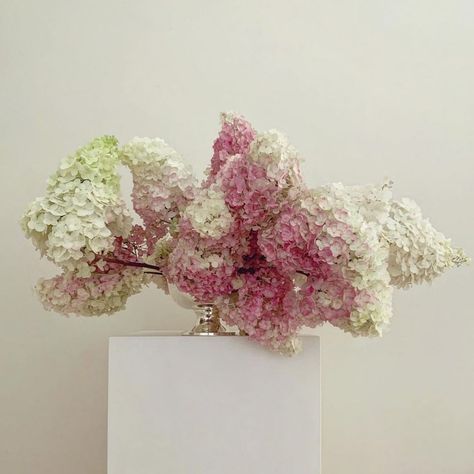 objet LA/NY on Instagram: “#Floral #poetry. Love this #hydrangea #bouquet by @doctorcooper #lisacooper #flower #flowers #dreamflower #flowerdreams #dreambouquet…” Lisa Cooper, Hydrangea Flower Arrangements, Hydrangea Arrangements, Ikebana Flower Arrangement, Hydrangea Bouquet, Flower Studio, Flower Therapy, White Hydrangea, Wedding Mood Board