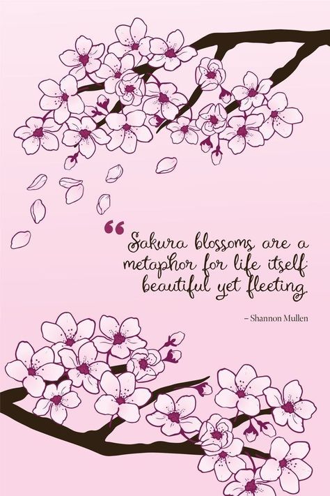 Cherry Blossom Quotes, Messages For Loved Ones, Blossom Quotes, Sakura House, Kawaii Quotes, Inspirational Quotes Cards, Blue Flowers Bouquet, Tree Quotes, Cherry Blossoms Illustration