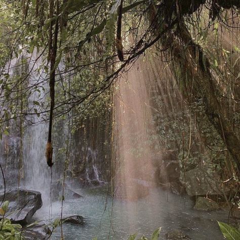 Alam Yang Indah, Nature Aesthetic, Pretty Places, Green Aesthetic, Mother Earth, Pretty Pictures, In The Middle, Mother Nature, Beautiful Nature