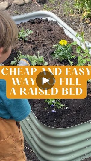 Fill A Raised Garden Bed, Cheap Raised Garden Beds, Gardening Advice, Garden Bed, 1k Views, Raised Beds, Raised Garden Beds, Raised Garden, Gardening Ideas