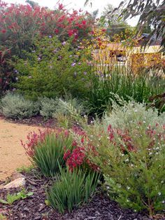 Native Habitat Garden, Australian Rural Garden, South Australian Native Garden, Drought Tolerant Garden Australian, Australian Native Cottage Garden, Native Garden Design, Native Garden Ideas, Native Australian Garden, Cottage Gardening