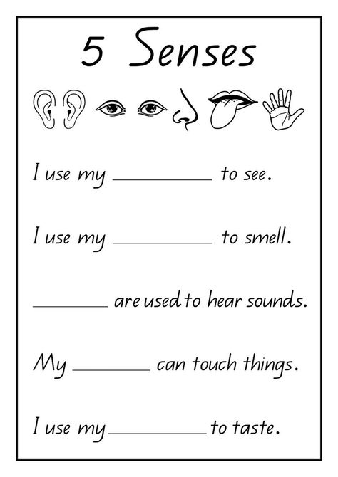 Activities for the Five Senses for Preschool | Learning Printable 5 Senses Worksheet, Grade R Worksheets, Five Senses Worksheet, Aktiviti Prasekolah, Worksheet Kindergarten, Worksheets For Class 1, English Worksheets For Kindergarten, Grammar For Kids, Kindergarten Reading Worksheets