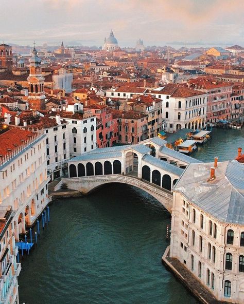 Bridges Architecture, Venice Florida, Rialto Bridge, Verona Italy, Explore Italy, Italy Tours, Regions Of Italy, Italy Aesthetic, Italy Photo