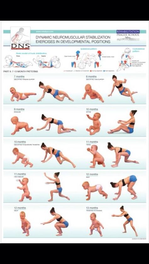 Neuromuscular stabilization for adults Health Posters, Pediatric Physical Therapy, Adolescent Health, Physical Therapy Exercises, Qi Gong, Functional Training, Shoulder Pain, Pelvic Floor, Therapy Activities