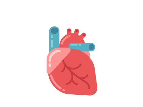 Heart by Irina Mir Animated Anatomy, Human Heart Anatomy, Heart Organ, Vector Animation, Heart Anatomy, Foto Top, Cartoon Heart, Icon Gif, Heart Gif