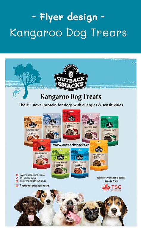 #FlyerDesign. #PetFood #KangarooDogTreats #Canada Animal Feed Packaging, Graphic Designer Services, Funny Life Lessons, How To Defend Yourself, Fit Board, Ebook Promotion, My Playlist, Ebay Account, Etsy Promotion