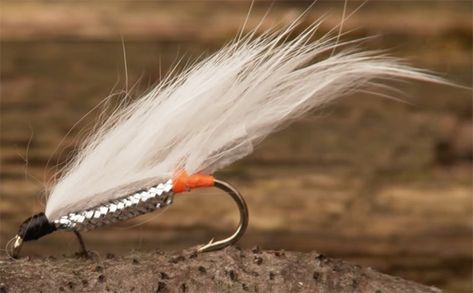 Video: Top 5 Flies for Great Lakes Steelhead - Orvis News Steelhead Flies Great Lakes, High Performance Boat, Tying Flies, Steelhead Flies, Fly Fishing Flies Pattern, Fly Fishing Tips, Fishing Stuff, Fly Patterns, Fishing Rigs