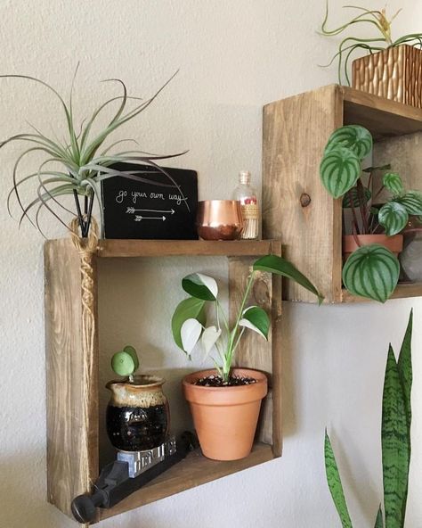 Diy Box Shelves, Planty Room, Diy Shelves Easy, Easy Shelves, Plant Room, Shelving Ideas, Shelves Diy, Box Shelves, Funky Home Decor