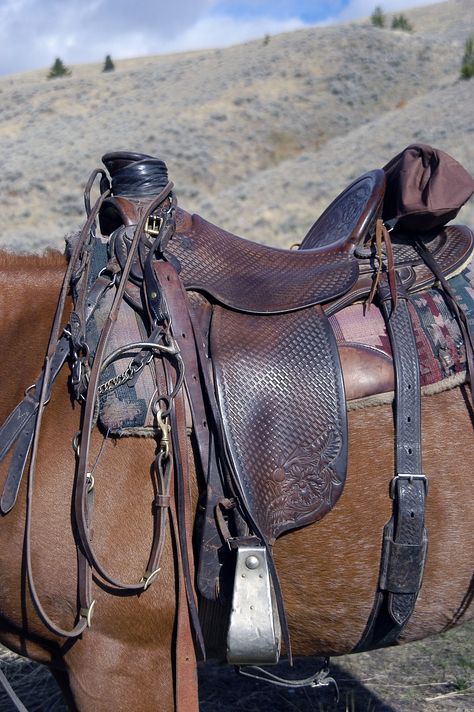 Selle western, le meilleur siège pour une randonnée à cheval ! #western #equitation #chevaldaventure Western Equitation, Endurance Horse, Wade Saddles, Western Horse Saddles, Custom Saddle, Saddle Accessories, Cowboy Gear, Horse Costumes, Western Film