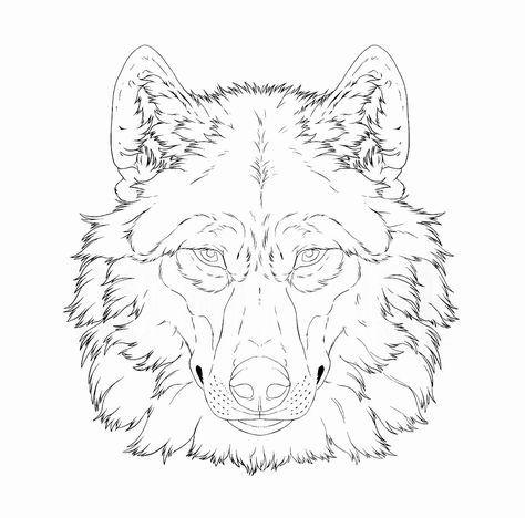 Wolf Tattoo Template, Wolf Tattoo Stencil Outline, Wolf Tattoo Stencil, Wolf Head Tattoo Stencil, Wolf Tattoo Linework, Wolf Line Drawing, Wolf Head Outline, Wolf Line Art Drawing, Wolf Head Tattoo