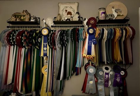 Horse Ribbons Display Ideas, Horse Ribbon Display, Dog Ribbon, Horse Ribbons, Ribbon Display, Award Ribbons, Dream Aesthetic, Equestrian Life, Horse Life