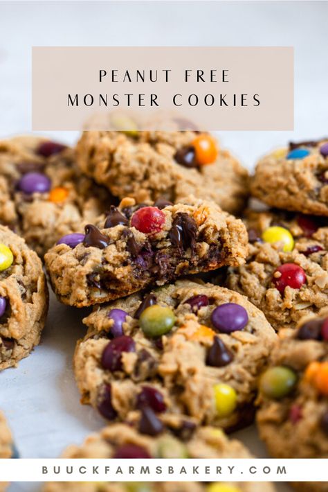 Moster Cookies, Chips And Chocolate, Peanut Free Desserts, Monster Cookies Recipe, Monster Cookie, Chocolate Candies, Baking Blog, Peanut Free, Fall Baking