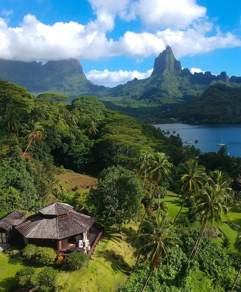 Our favorite islands in the most magical place on earth - French Polynesia 🏝: 📍Maupiti 📍Moorea 📍Tikehau 📍Huahine And we are returning… | Instagram Moorea Tahiti, Mutiny On The Bounty, Guy Martin, Overwater Bungalows, Nature Tour, Robinson Crusoe, Islands Of Adventure, Conde Nast Traveler, Private Island