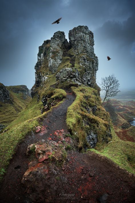 Fairy Glen, Skye Scotland, Isle Of Skye, Scotland Travel, The Fairy, Scottish Highlands, Magical Places, Wonders Of The World, Beautiful Landscapes