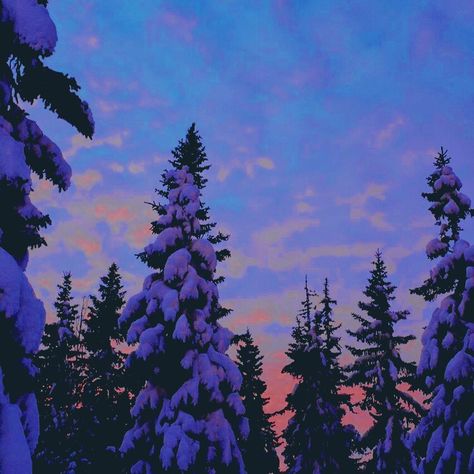 Purple Snow Aesthetic, Notion Purple, Romanticizing Winter, Evergreen Forest, Winter Destinations, Purple Christmas, Purple Sky, Jolie Photo, Winter Aesthetic