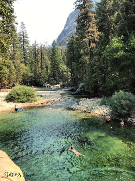 King Canyon National Park, Sequoia And Kings Canyon National Park, Sequoia National Park Aesthetic, Sequoia Aesthetic, Great Canyon, Camping California, River Camping, Biscayne National Park, Park River