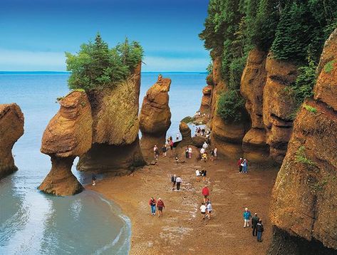 Hopewell-Rocks at low-tide, New Brunswick's most iconic tourist attraction (photo: Tourism New Brunswick, Canada) Hopewell Rocks, East Coast Canada, Fundy National Park, Bay Of Fundy, East Coast Travel, Eastern Canada, Canada Road Trip, Travel Canada, Atlantic Canada