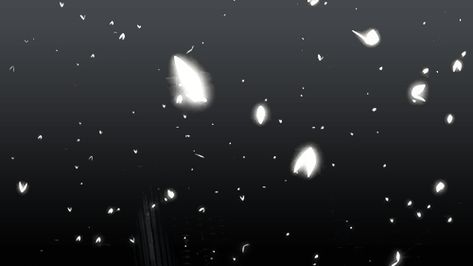 Butterflies Banner Gif, Dc Banner Aesthetic, Butterfly Gif Aesthetic, Anime Butterfly Gif, Butterfly Banner Gif, Background Gif Aesthetic, Discord Background Gif, Black And White Discord Banner Gif, Black Banner Gif Discord