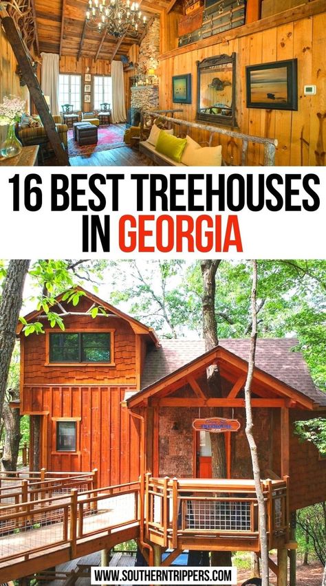 16 Best Treehouses in Georgia Cool Airbnbs, Lux Travel, Treehouse Airbnb, Southern Usa, Travel Georgia, Visit Georgia, American States, Georgia Vacation, Dating Ideas