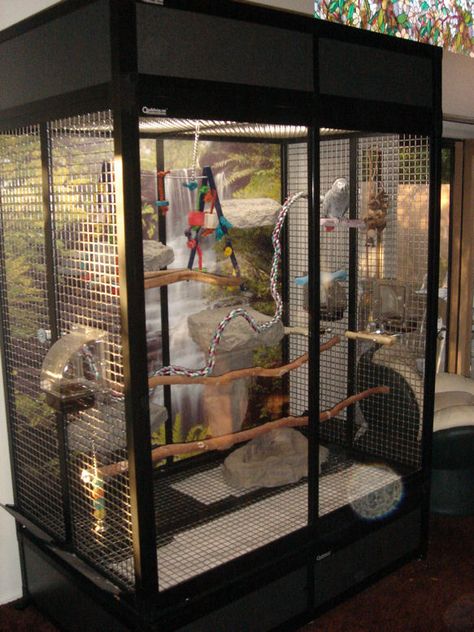 Custom Bird Cage, Parrot Room, Monkey Cage, Big Bird Cage, Parrot Cages, Bird Room, Budgie Cage, Diy Bird Cage, Bird Cage Design