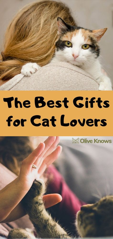 The Best Gifts for Cat Lovers | OliveKnows Cat Tips, Gifts For Cat Lovers, Cat Themed Gifts, Cat Mom Gifts, Cat Hoodie, Unique Cats, Cat Person, Cat Stuff, Cat Health