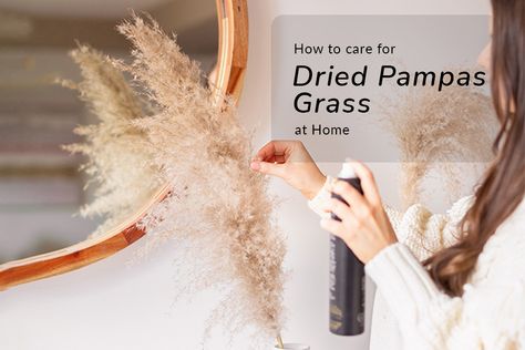 dried pampas Grass Dry Pampas, Dried Pampas, What To Use, Inviting Home, Pampas Grass, Decorating Blogs, Need To Know, At Home, Plants