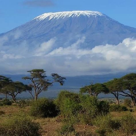 Mount Kilimanjaro Photography, Mt Kilimanjaro Climb, Mount Kilimanjaro Painting, Mt Kilimanjaro Photography, Hiking Kilimanjaro, Mountain Kilimanjaro, Climbing Kilimanjaro, Kilimanjaro Mountain, Climb Kilimanjaro