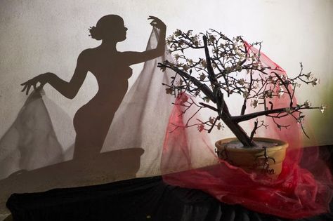 shadow puppets.  on another level.  (by Teodosio Sectio`Aurea via Amusing Planet) Shadow Sculpture, Shadow Illusion, Sculpture Diy, Vitruvian Man, Art Lighting, Infinity Mirror, Shadow Pictures, Shadow Art, Perfect Image