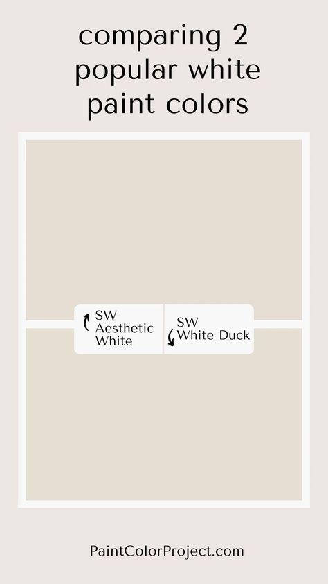 Looking for the perfect off-white paint color for your home? I compare Aesthetic White vs White Duck to help you make the best decision. Sherwin Williams Aesthetic, Sherwin Williams Aesthetic White, Williams Aesthetic, Off White Paint Colors, Cream Paint Colors, Off White Paint, Dover White, Off White Paints, Cream Paint