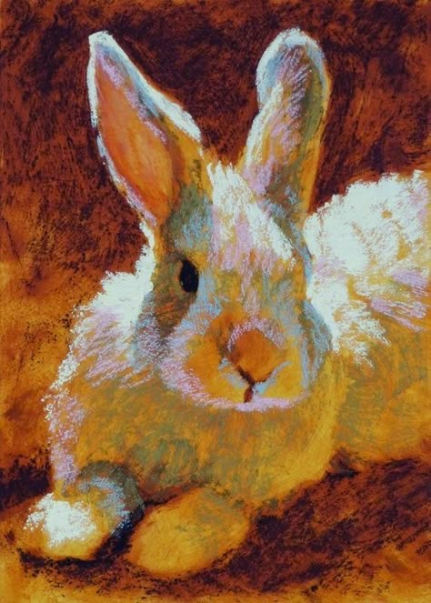 Rabbit Painting, Angora Goats, In The Zone, Oil Pastel Art, Adorable Bunny, Rabbit Art, Bunny Art, The Zone, Daily Painting