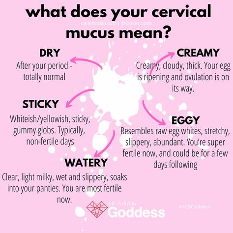 Name Twitter, Natural Birth Control, Cervical Mucus, Womb Healing, Fertility Awareness, Fertility Health, Menstrual Health, Feminine Health, Happy Hormones