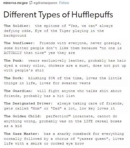 different types of hufflepuffs Designated Driver, Hufflepuff Aesthetic, Hufflepuff Pride, Hufflepuff House, Slytherin Pride, Harry Potter Hufflepuff, Harry Potter Houses, Hogwarts Houses, Mischief Managed