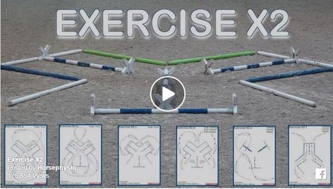 This simple pole and cavaletti exercise has the power to transform your rides if done correctly. I don’t care if you are a jumper, barrel racer, dressage or western pleasure rider. Pole work … Dressage Pole Exercises, Cavaletti Exercises, Pole Exercise, Pole Exercises, Horse Jumping Exercises, Riding Ideas, Natural Horsemanship Training, Riding Exercises, Dressage Exercises