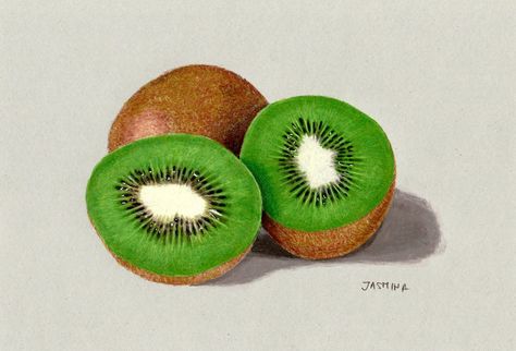 Colored Pencil Drawing of Kiwi Fruit by JasminaSusak Outdoor Illustration, Fruit Art Drawings, Prismacolor Art, Fruits Drawing, Pencil Drawing Tutorials, Colored Pencil Artwork, Pencil Shading, Youth Bedroom, Kiwi Fruit