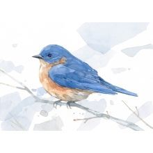 Bluebird Watercolor, Woodpecker Art, Kingfisher Watercolor, Bluebird Painting, Floral Art Paintings, Blue Bird Art, Bird Watercolor Paintings, Birdwatching, Bird Drawings